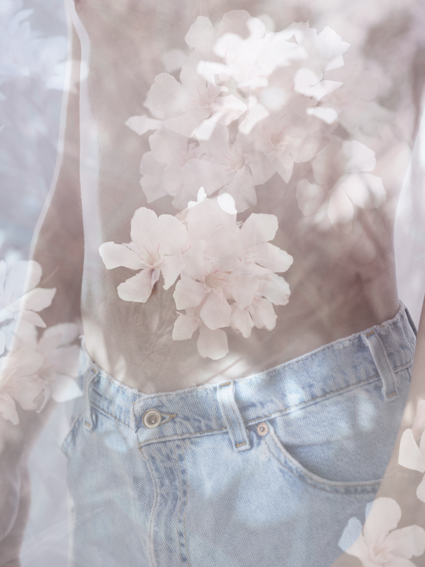 Jeans_Flowers
